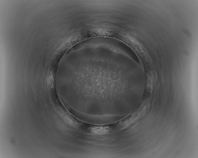 X0000115600465200911101410