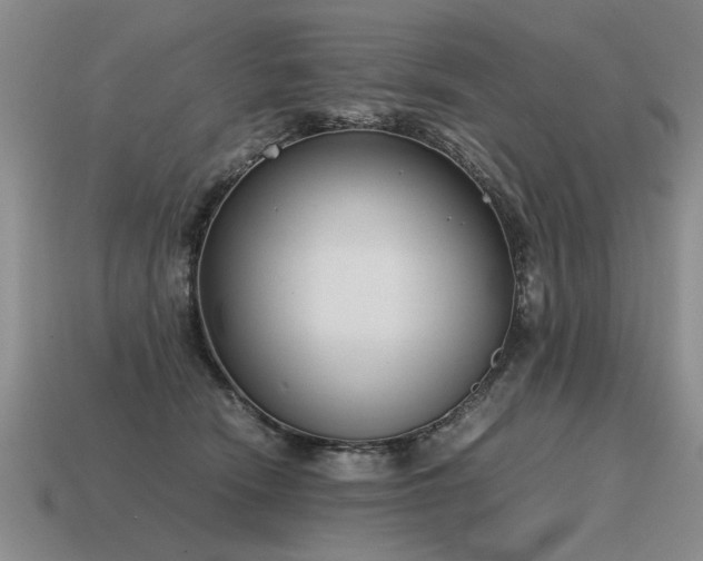 X0000115600466200911101410