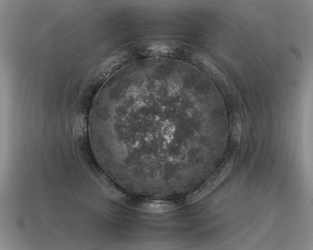 X0000115600467200911101410