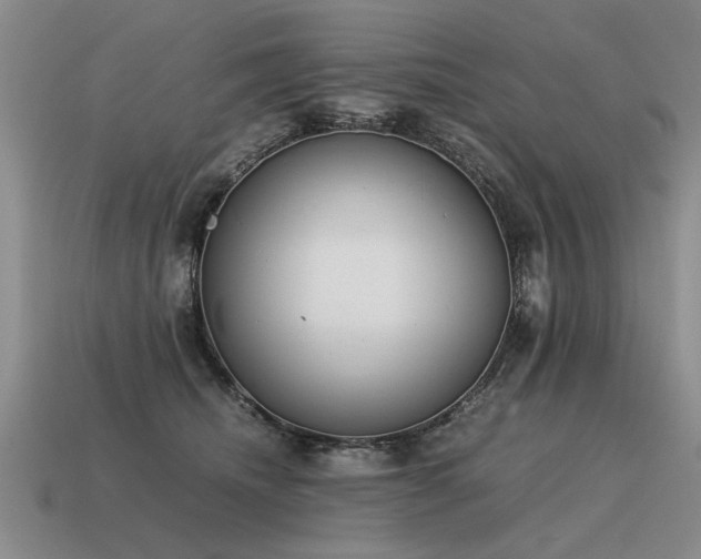 X0000115600468200911101410