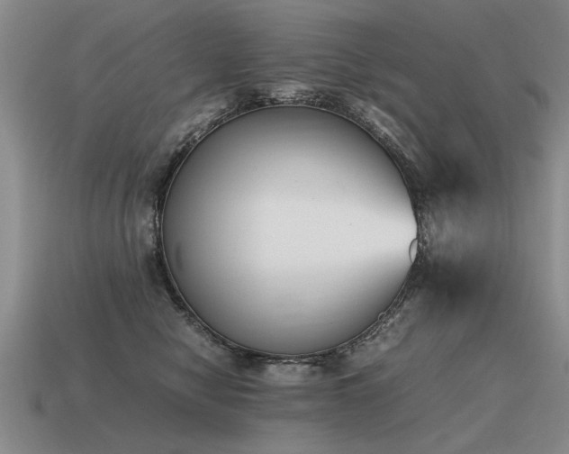 X0000115600470200911101410