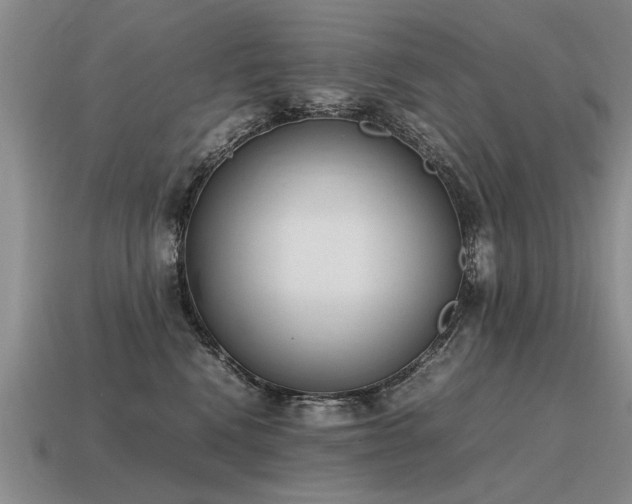 X0000115600472200911101410