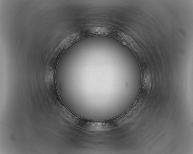 X0000115600473200911101410