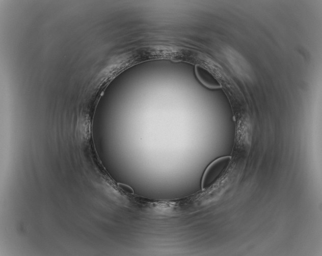 X0000115600474200911101410