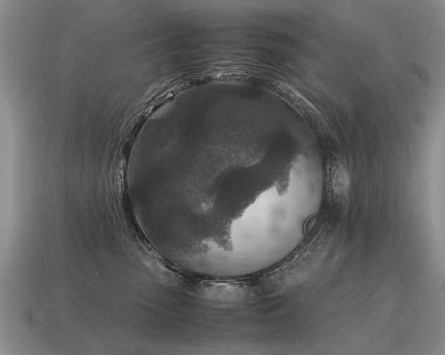 X0000115600475200911101410