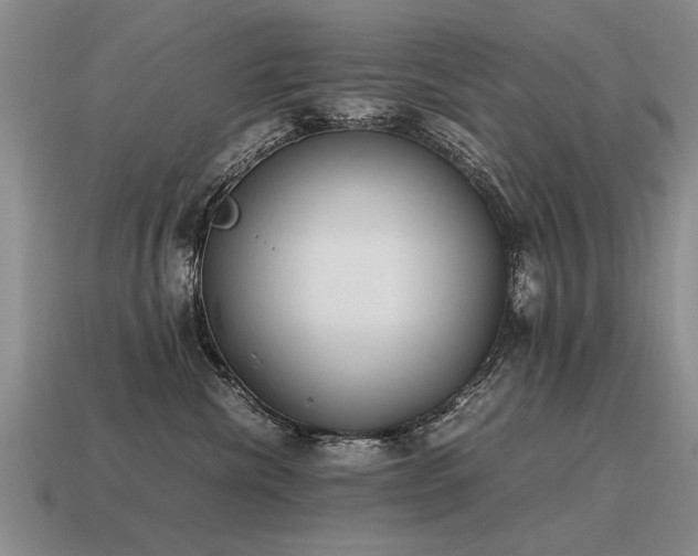 X0000115600476200911101410