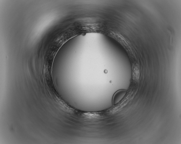 X0000115600477200911101410