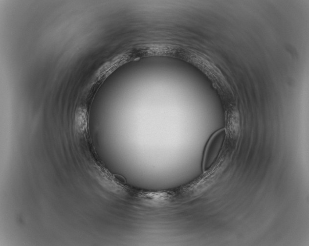 X0000115600478200911101410