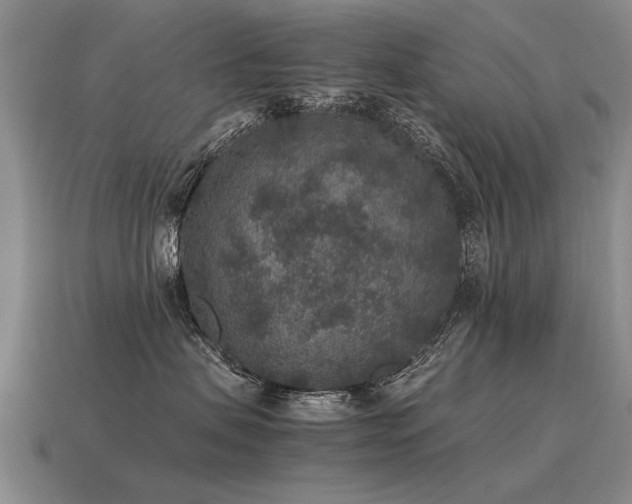 X0000115600479200911101410