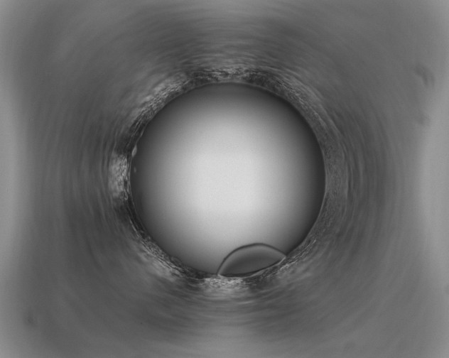 X0000115600480200911101410