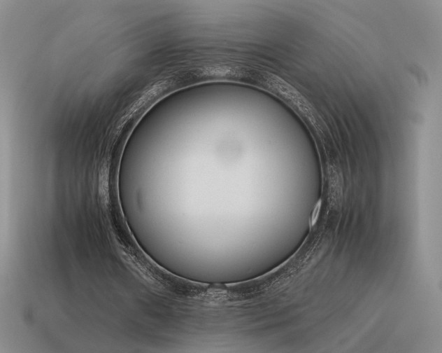 X0000115600482200911101409