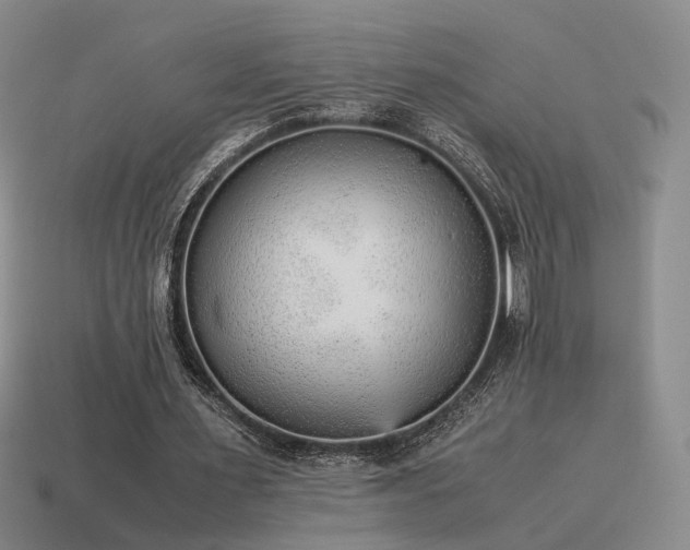 X0000115600483200911101409