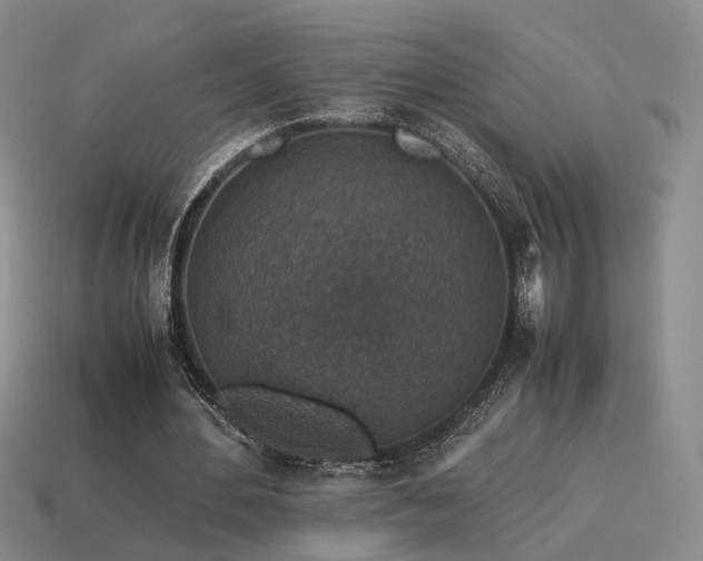 X0000115600484200911101409