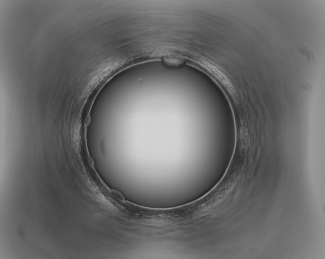 X0000115600485200911101409