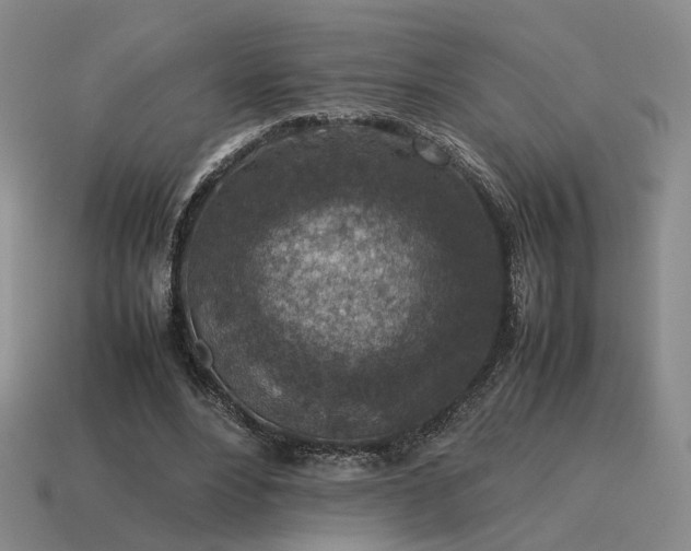 X0000115600488200911101409