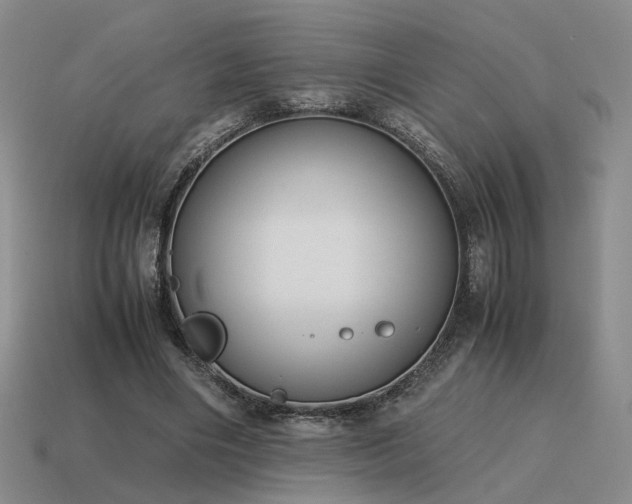 X0000115600490200911101409