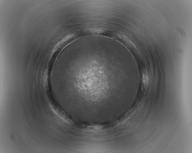 X0000115600492200911101409