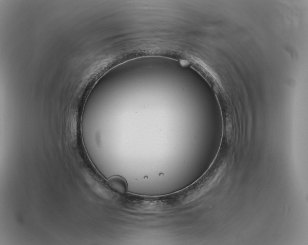 X0000115600493200911101409