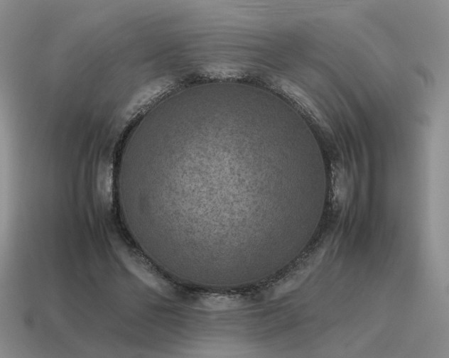 X0000115600494200911101409