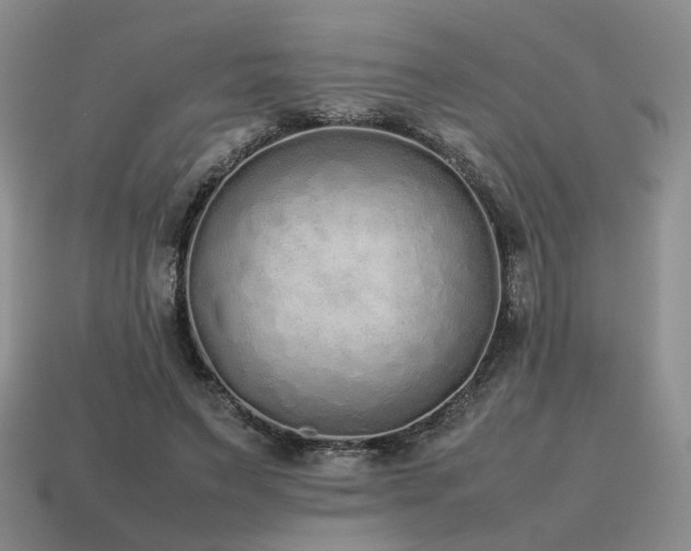 X0000115600495200911101409