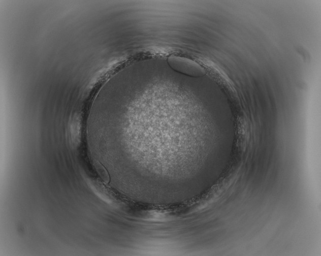 X0000115600496200911101409