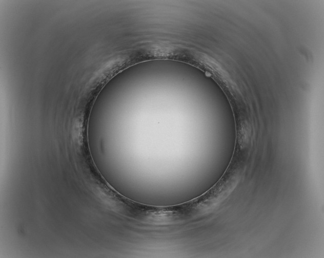 X0000115600497200911101409