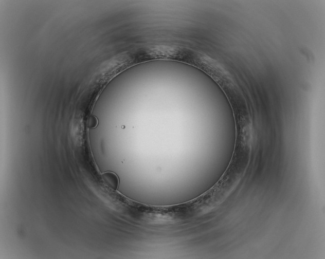 X0000115600498200911101409