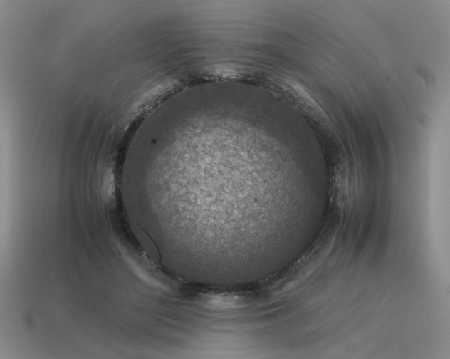 X0000115600500200911101409