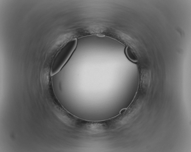 X0000115600501200911101409