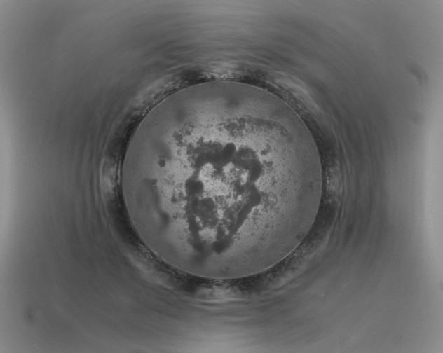 X0000115600503200911101409