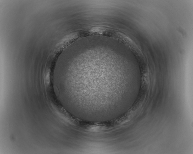 X0000115600504200911101409