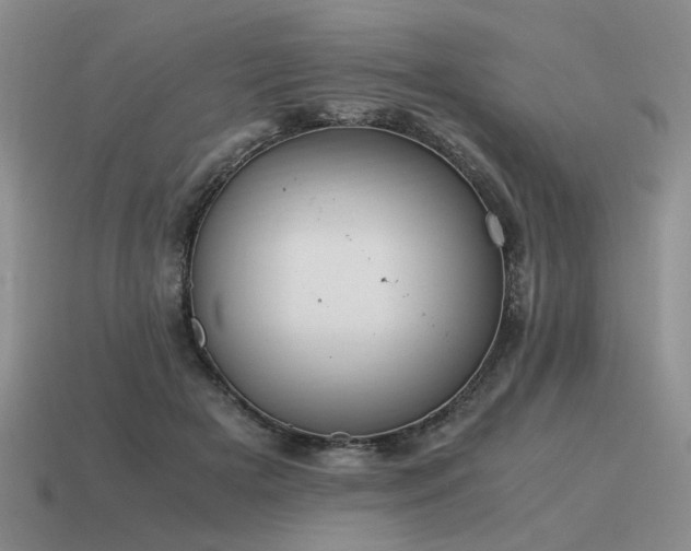 X0000115600505200911101409