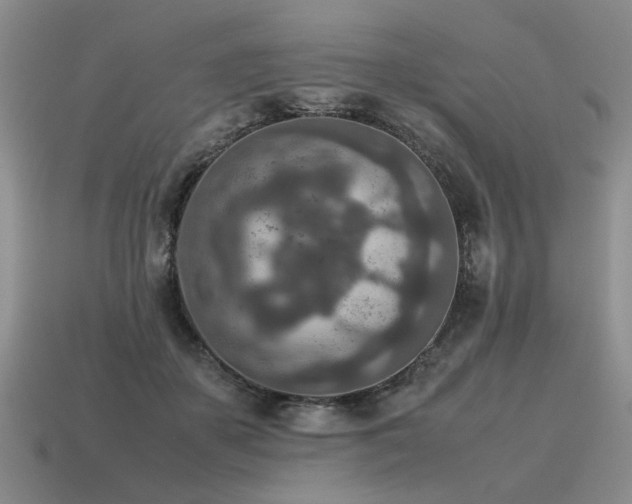 X0000115600507200911101409