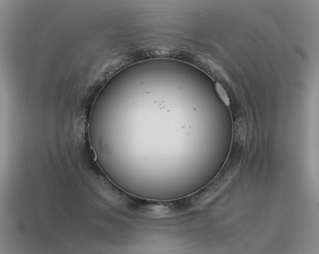 X0000115600509200911101408