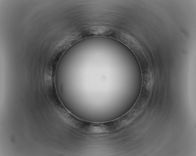 X0000115600510200911101408