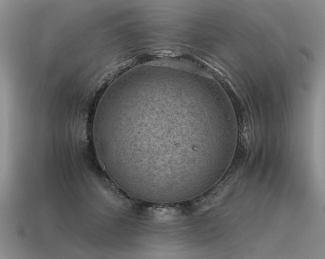 X0000115600512200911101408