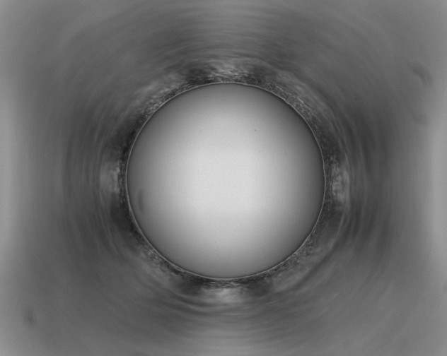 X0000115600514200911101408