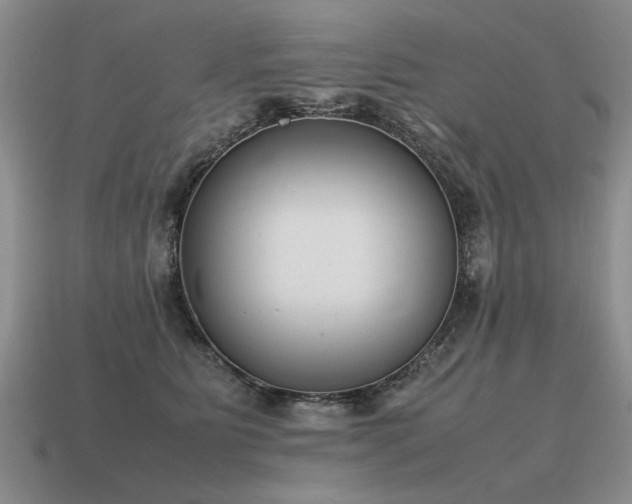 X0000115600515200911101408