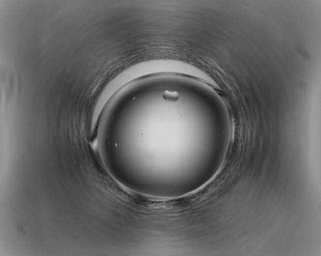 X0000115600516200911101408