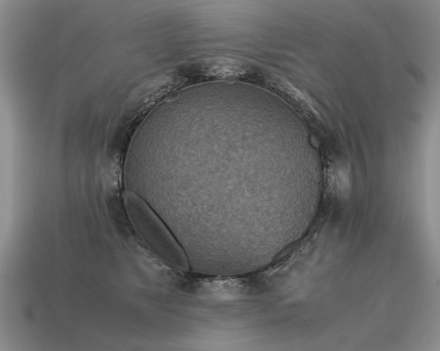 X0000115600517200911101408