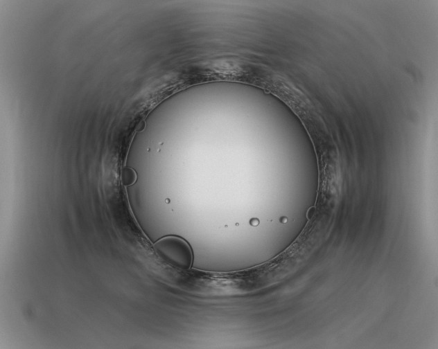 X0000115600518200911101408