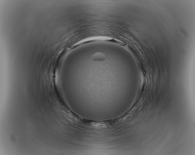 X0000115600520200911101408