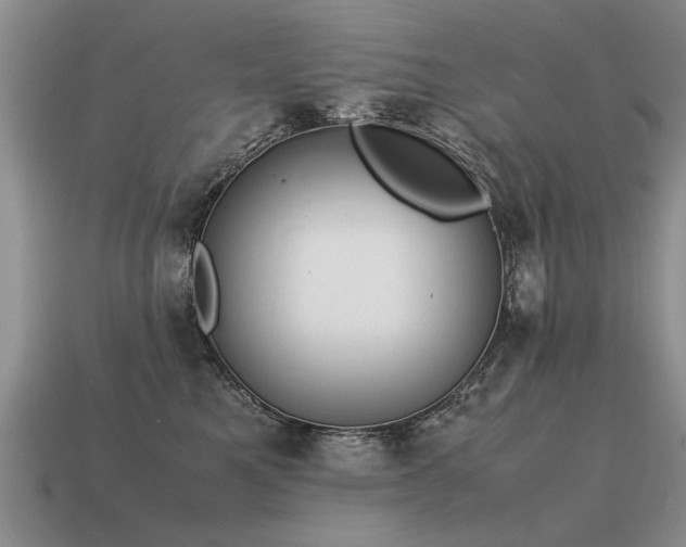 X0000115600521200911101408