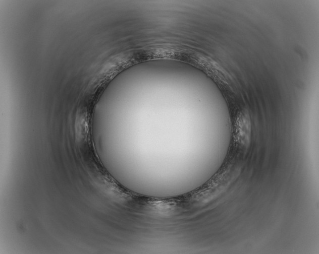 X0000115600522200911101408