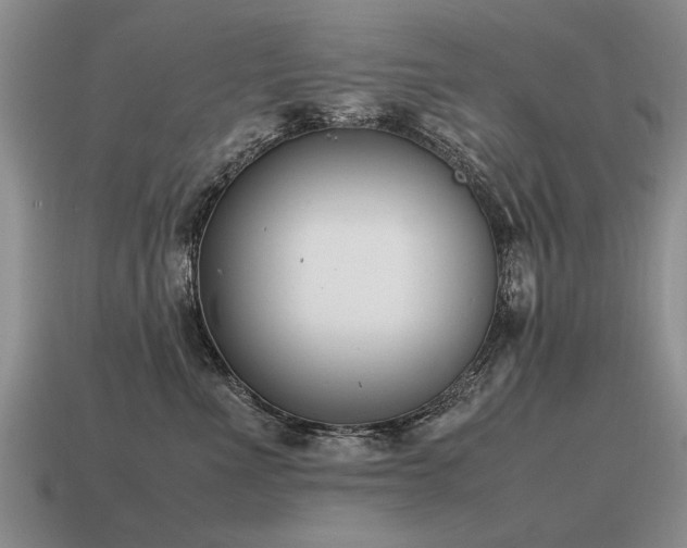 X0000115600523200911101408