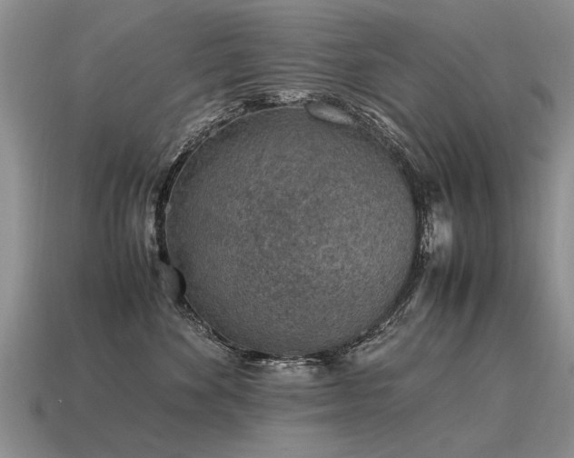 X0000115600524200911101408