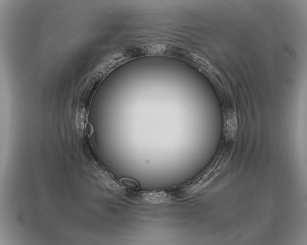 X0000115600525200911101408