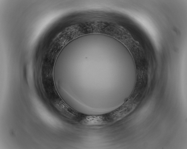 X0000115600526200911101408