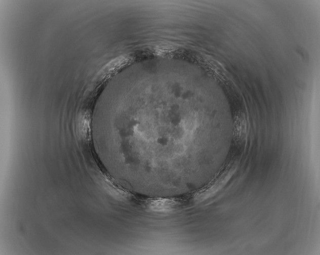 X0000115600527200911101408