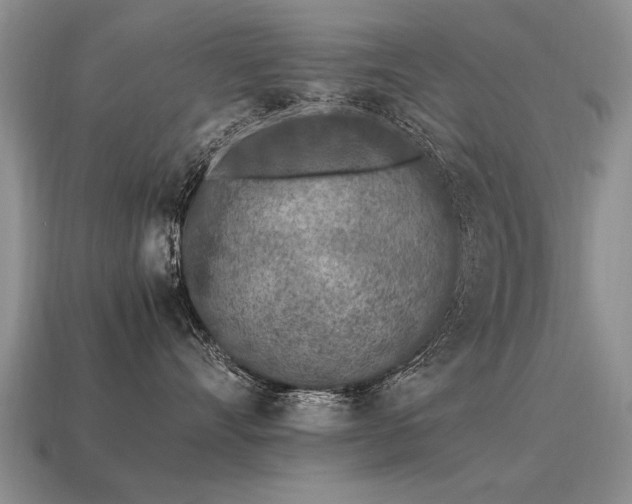 X0000115600528200911101408